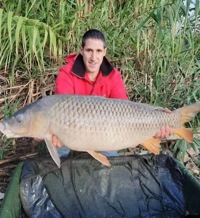 R U Ready Fishing, River Ebro